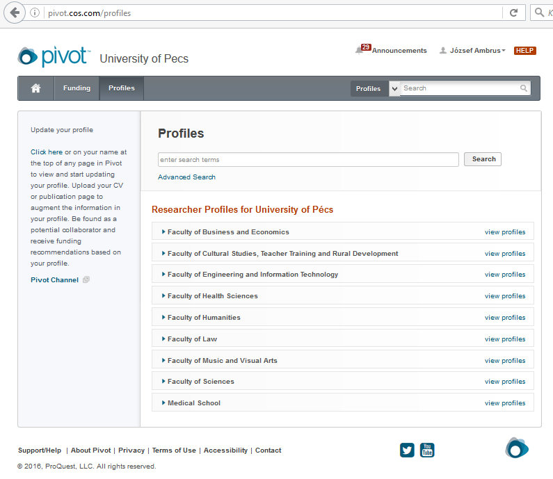 A Pivot Kutatásfinanszírozási Adatbázis profil beállítási felülete a belépést követően